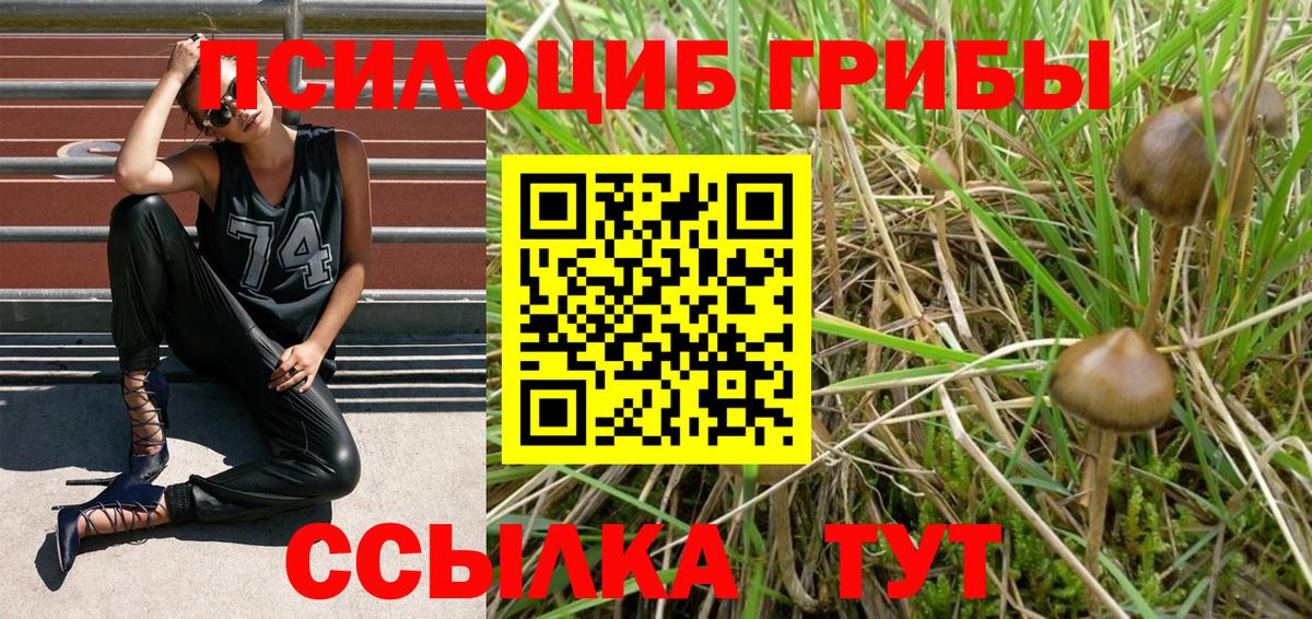 Галлюциногенные грибы GOLDEN TEACHER Лосино-Петровский